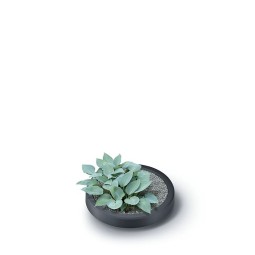 Zbiornik na deszczówkę 240l MAZE antracyt Waterform IDMZ240-S433