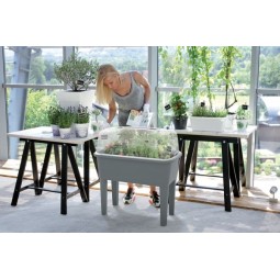 Szklarnia RESPANA PLANTER SET - antracytowy Prosperplast DREP770-S433