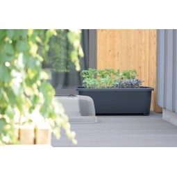 Szklarnia RESPANA PLANTER SET - limonka Prosperplast DREP770W-389U